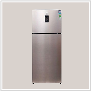 Tủ Lạnh Electrolux ETB4602GA